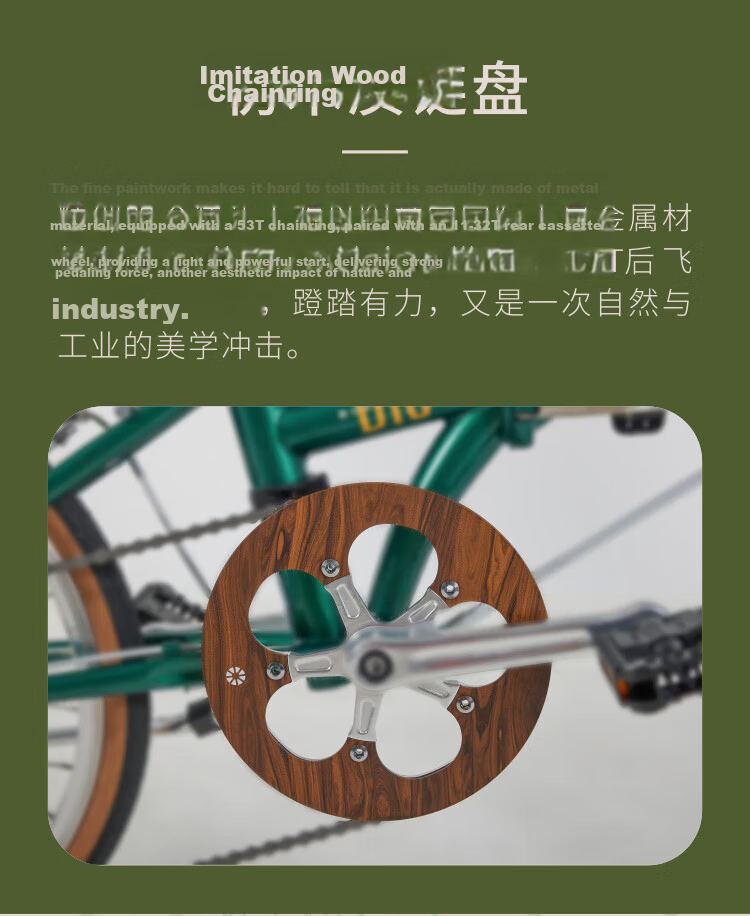 DAHON D10 Folding Bicycle, 20-Inch, 10-Speed, Adult Retro Bike HAC003, Olive Gree 8