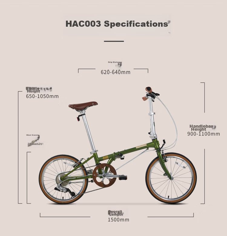 DAHON D10 Folding Bicycle, 20-Inch, 10-Speed, Adult Retro Bike HAC003, Olive Gree 11