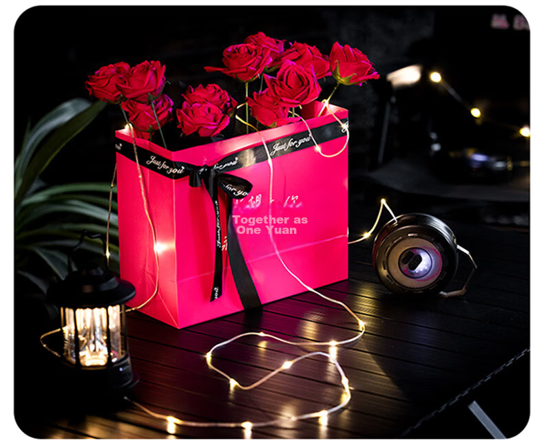 Black Dog Ambient Camping String Lights Outdoor Camping Decorative Lighting Tape Measure Storage 10m 12