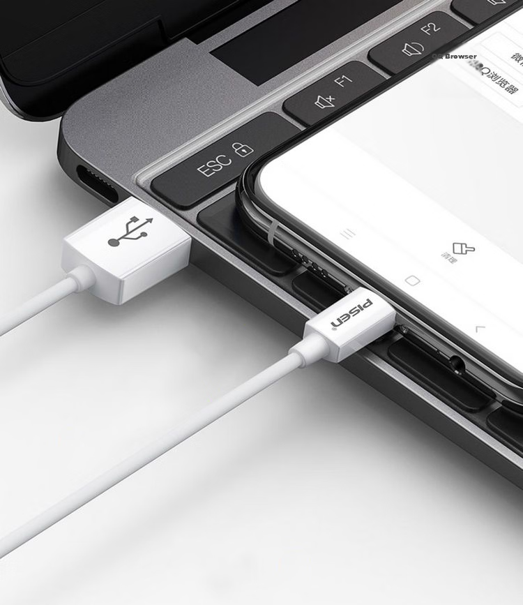 Pisen Apple 17 Charging Cable Dual Type-C Data Cable 20cm Short PD 60W Fast Charging Car Universal for iPhone 16/15 Huawei Xiaomi Smartphone Laptop iPad Power Bank 14