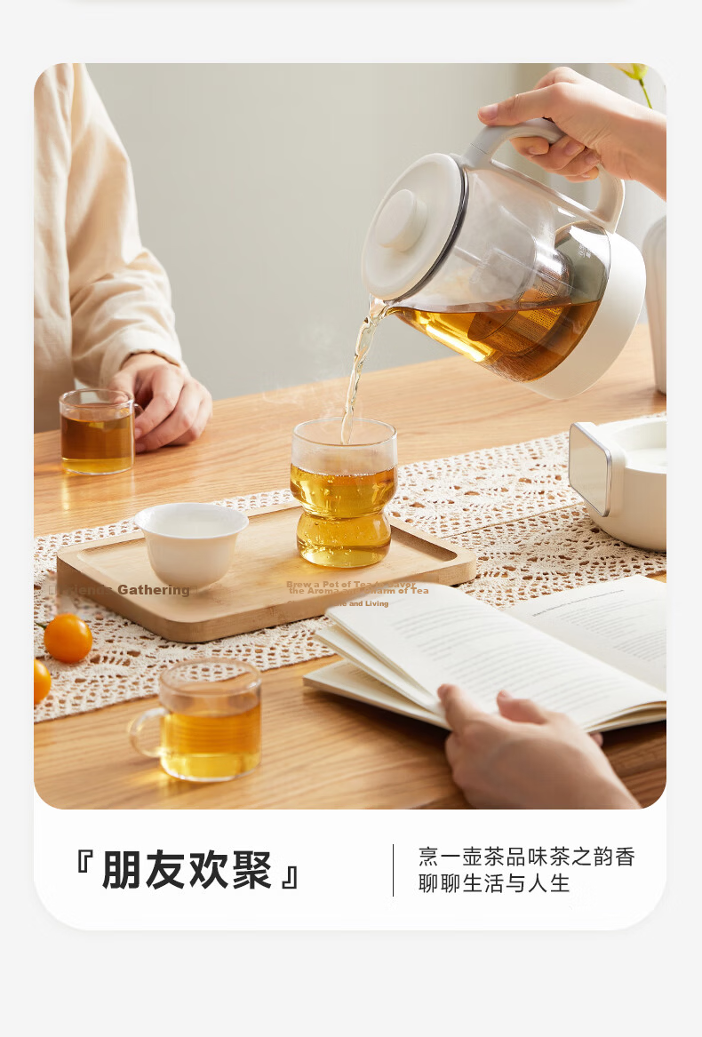Ankale Multifunctional Stewing and Cooking Health Pot, Food-Grade 0-Coating 316 Stainless Steel, Liftable Tea Kettle, Insulated Integrated Fully Automatic Constant Temperature Electric Kettle AJL-10Y0 9