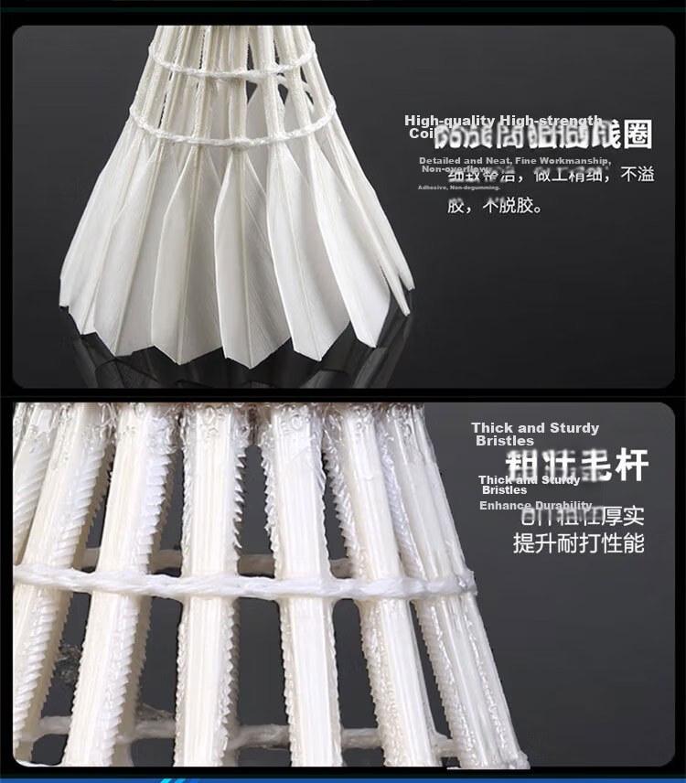 Aslion Dragon Feather Badminton Training Competition Durable Duck Feather Gold Crown C6 No.77 Speed 12-Pack Barrel 5