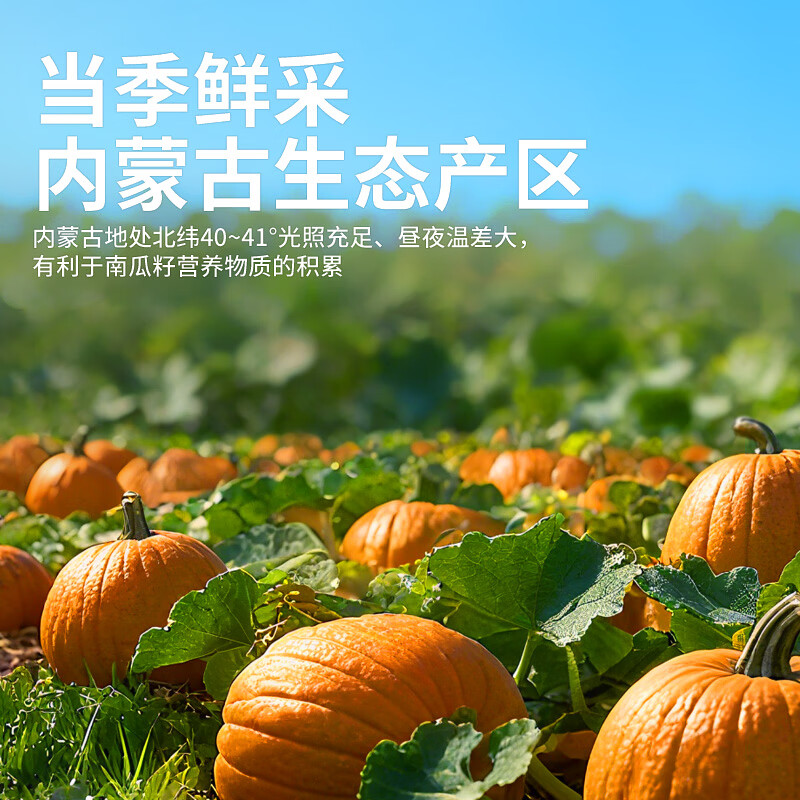 原尚工房原味生南瓜子仁500g无壳免剥南瓜籽仁休闲零食坚果炒货干果