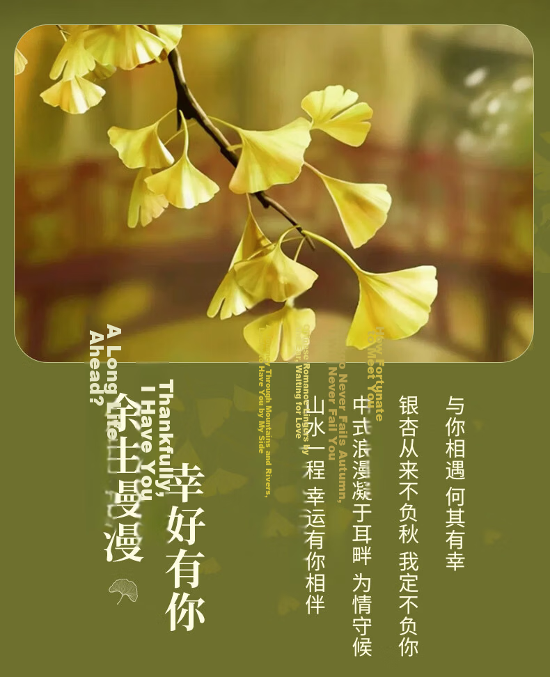 Zhenshang Silver China Gold Ginkgo Silver Earrings Hoop Pendant Jewelry for Women Hetian Jade Birthday Qixi Festival Valentine's Day Gift for Girlfriend S925 2