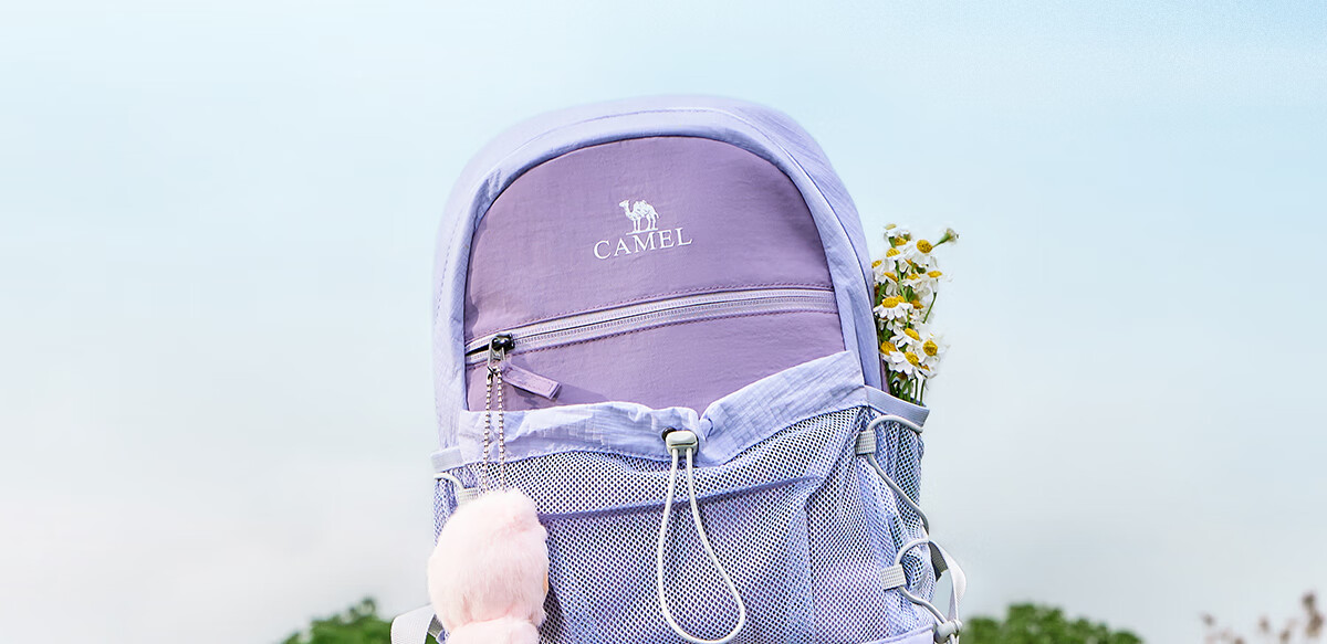 CAMEL Lightweight Outdoor Casual Backpack Small School Bag Hiking Mountaineering Travel Backpack 575C634031A 6