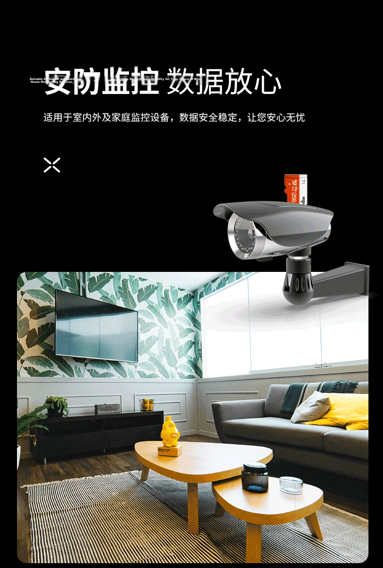 Aigo 256GB TF (MicroSD) Card U3 A1 V30 4K Surveillance Camera Dash Cam High-Speed Memory Card T1 100MB/s Read Speed 3