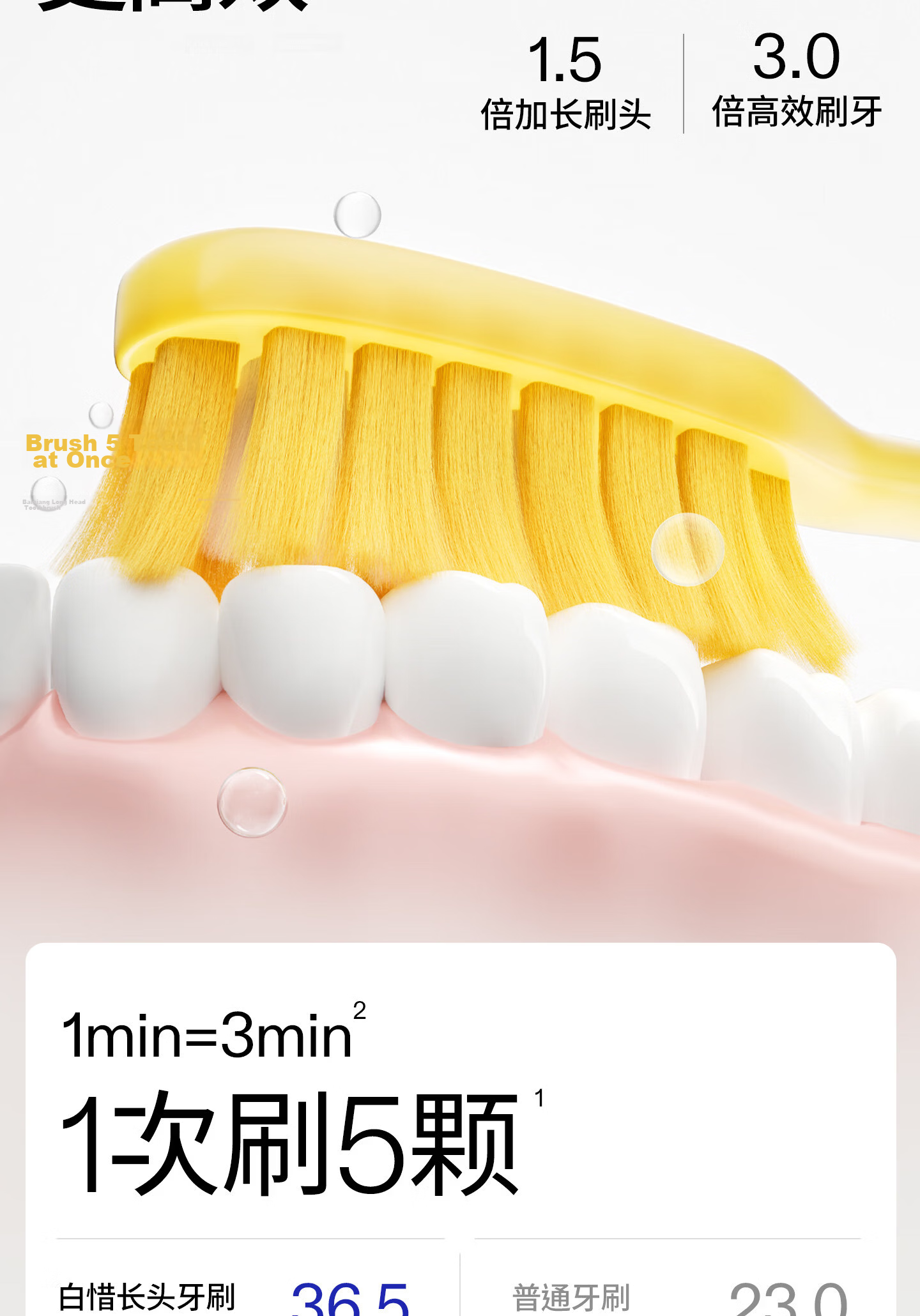 Baixi Small Head Toothbrush, 5 Pieces, Bottom Suction Cup, Fine Soft Bristles, for Men And Women, Home Oral Cleaning, Teeth Protection, Valentine's Day Gift 5