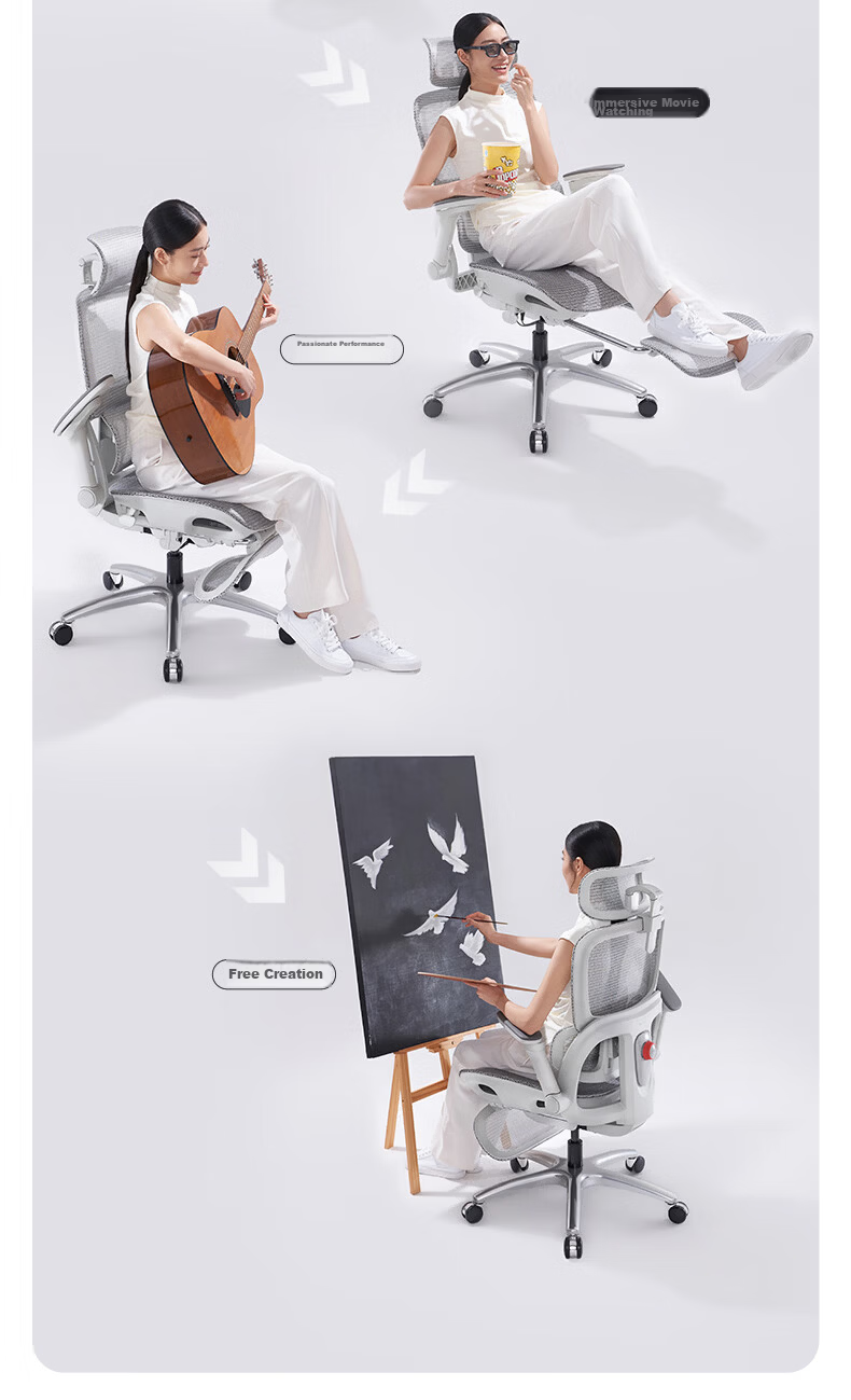 SIHOO B300Pro Ergonomic Chair Gaming Chair Office Chair Computer Chair Biomechanical Seat with 4D Lumbar Support And 6D Armrests 21