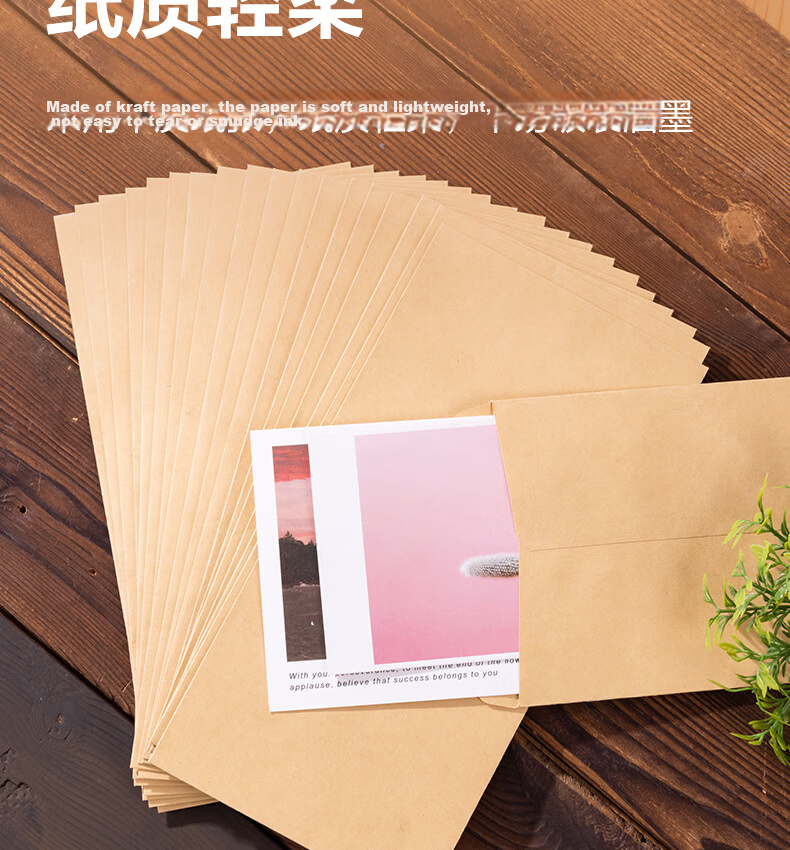 Deli No.5 Kraft Paper Document Bag 220*110mm Invoice Bag Postal Standard Envelope Salary Bag 20pcs 3423A 3