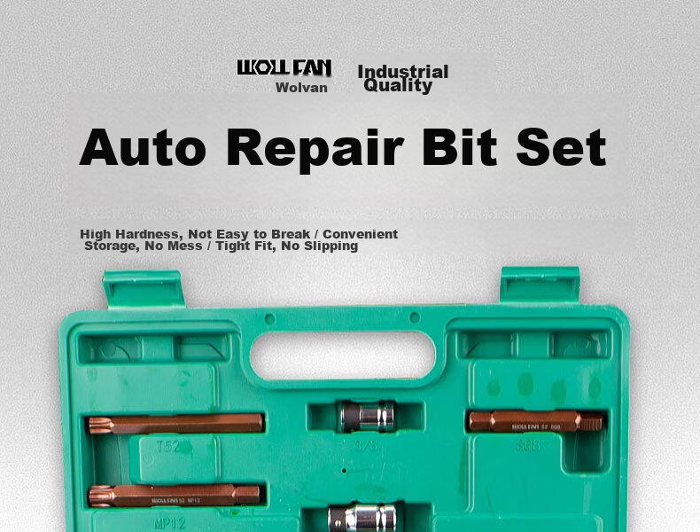 Wolvan 60-Piece Star Screwdriver Set Hex Socket Wrench Set Automotive Repair Tools Spline Double-Hexagon Bit MT 1