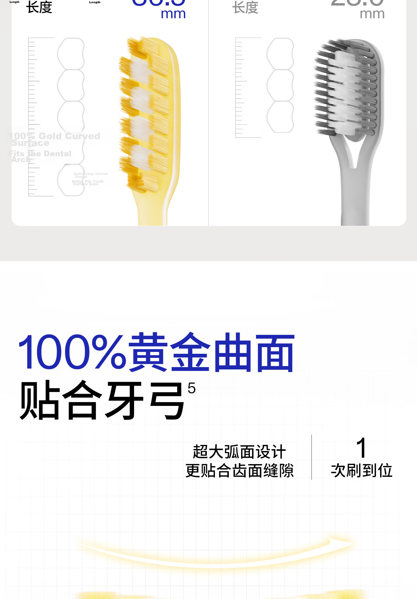 Baixi Small Head Toothbrush, 5 Pieces, Bottom Suction Cup, Fine Soft Bristles, for Men And Women, Home Oral Cleaning, Teeth Protection, Valentine's Day Gift 6