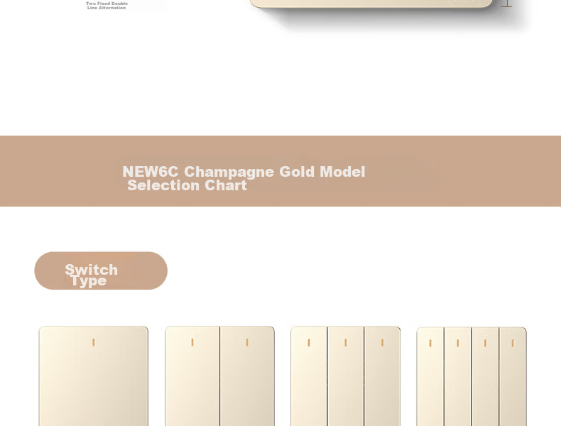 CHNT Switch Socket NEW6-C11102 Five-Hole Socket 6C Champagne Gold 10-Pack Socket Set 39