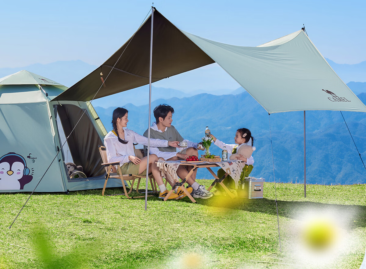 Camel Hug Goose Hexagonal Blackout Tent Portable Foldable Outdoor Camping Kids Picnic Gear 4012 Pearl White 15