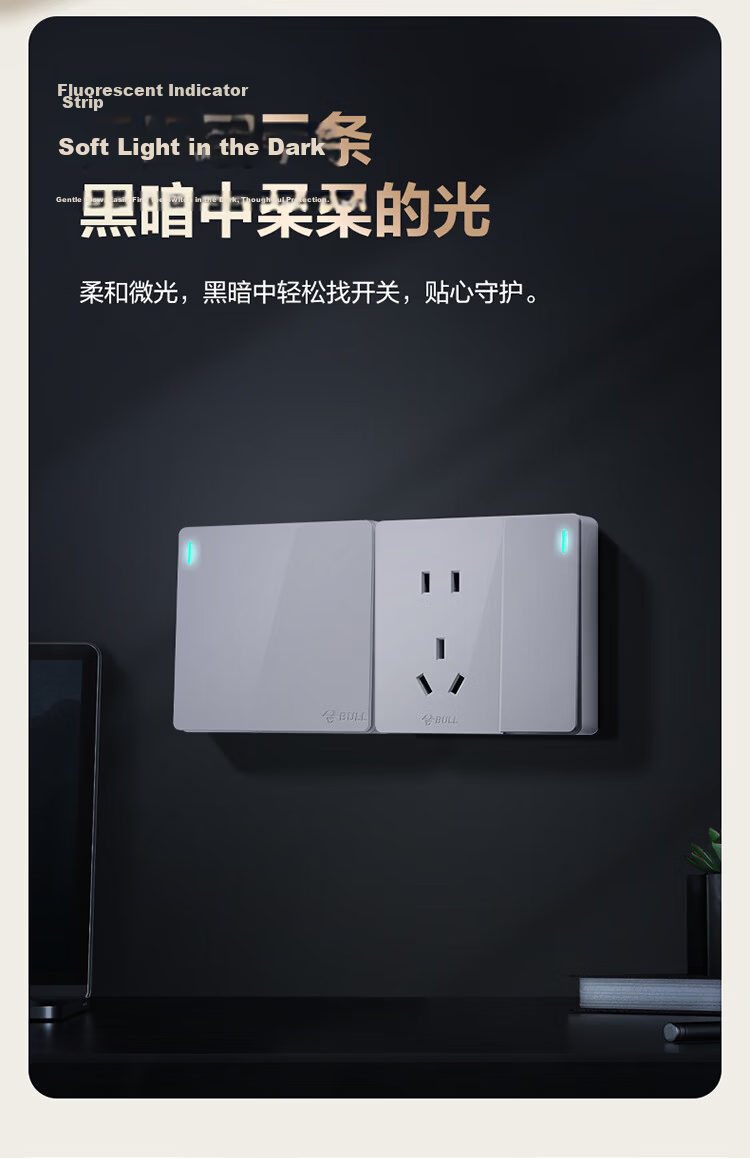 BULL Surface-Mounted Large Panel Switch Socket G59 Series 16A Three-Hole Air Conditioner Socket G59Z104 8