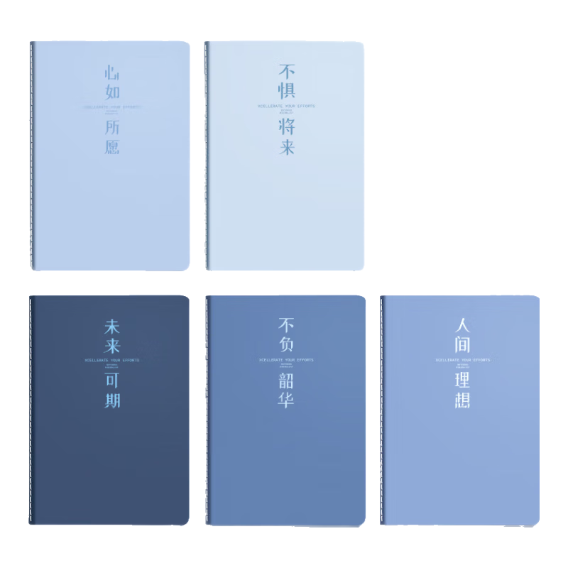 Shuxing B5 Notebook 40 Sheets Simple Softcover Study Notebook for Graduate, Middle and High School Students, Sewn Binding Exercise Book, Lined Thick Notebook, Set of 5 "Passing Years"