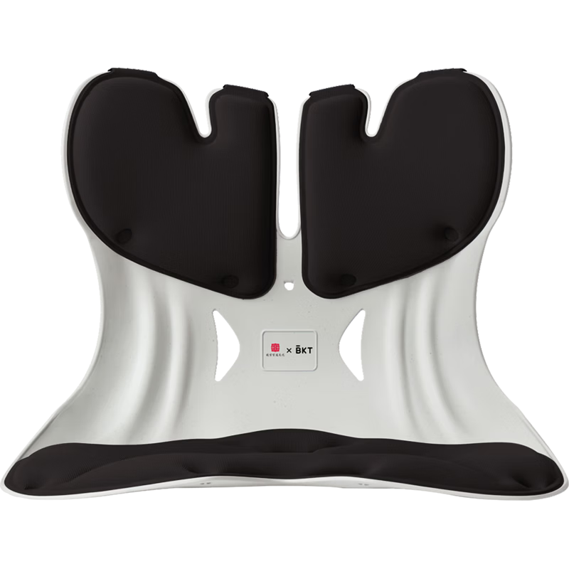 BKT Lumbar Support Cushion Seat Pad Ergonomic Office Chair Backrest Cushion for Prolonged Sitting Gift for Parents
