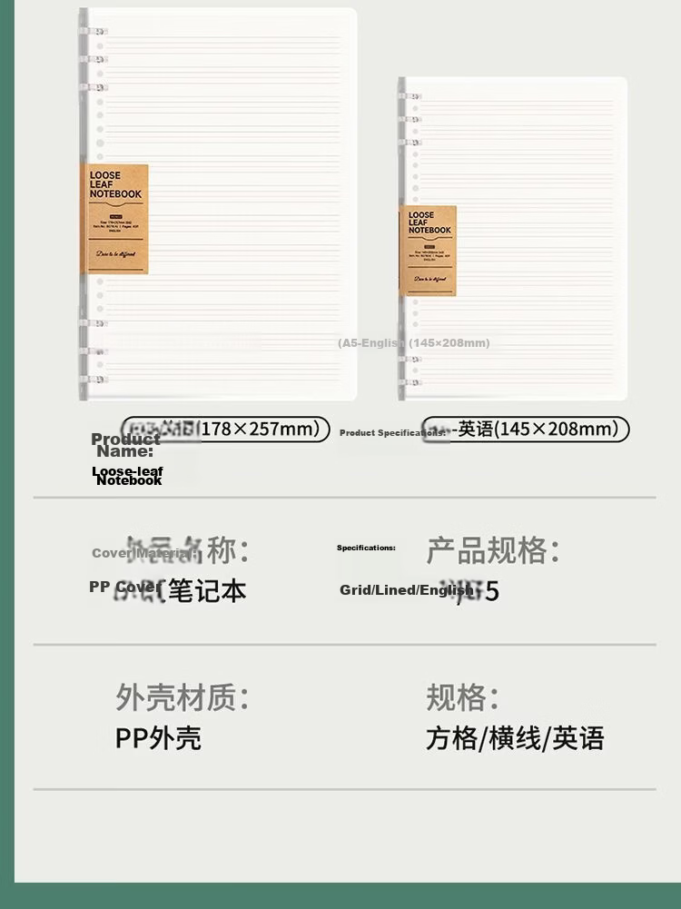 Wengu B5 Notebook Handwritten Loose-Leaf Book 40 Sheets Journal Diary for Middle School, High School, University Students, Detachable Office Business Meeting Supplies SK030-1 (B5) Lined Version 17