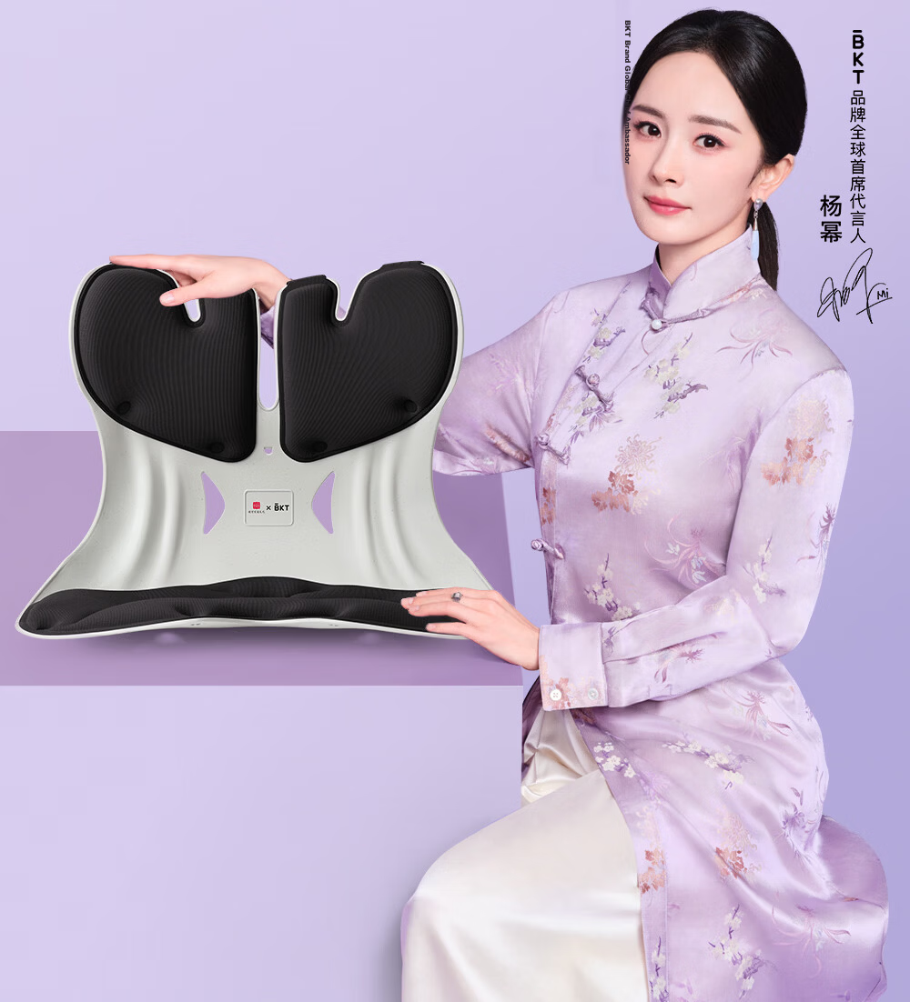 BKT Lumbar Support Cushion Seat Pad Ergonomic Office Chair Backrest Cushion for Prolonged Sitting Gift for Parents 2