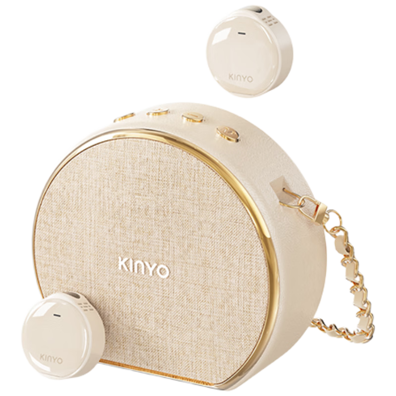 KINYO 30W Wireless Mini Bee Amplifier Teacher Microphone Loudspeaker M20
