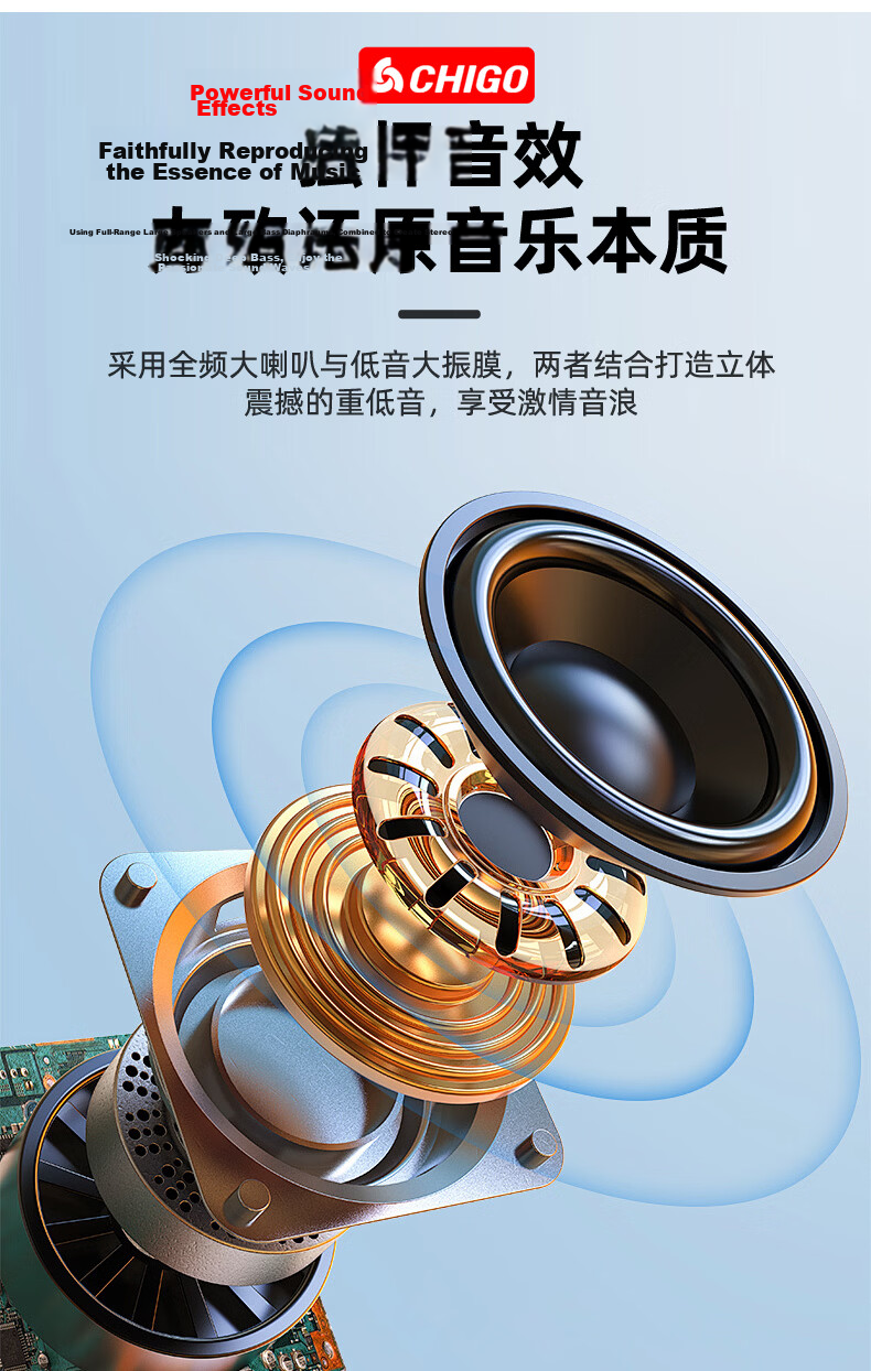 CHIGO Bluetooth Portable Speaker Outdoor KTV Portable High Volume New Home Commercial Wireless Speaker Anti-Distortion Mini High Power Long Battery Life Multifunction Upgraded Model 9