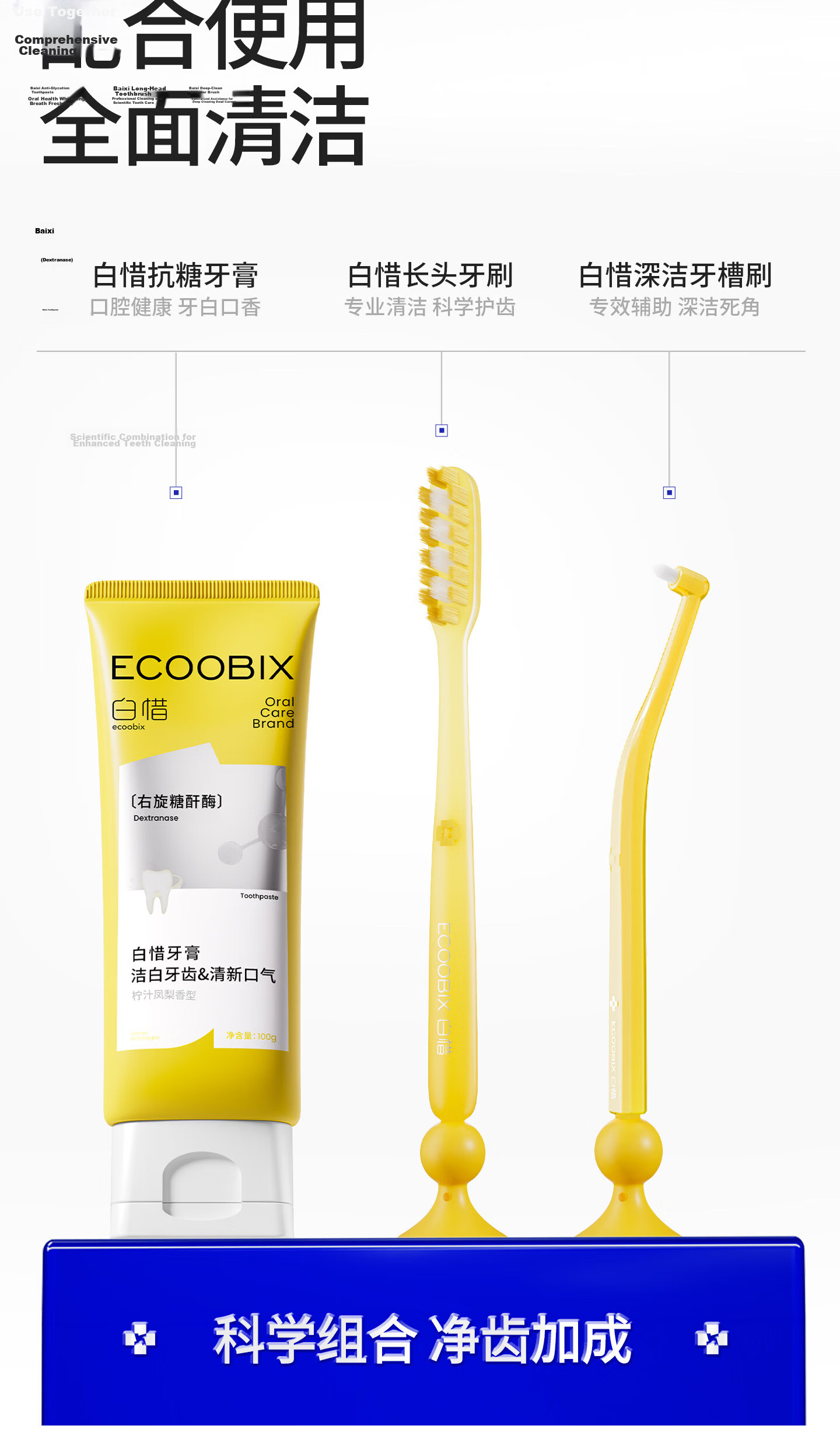 Baixi Small Head Toothbrush, 5 Pieces, Bottom Suction Cup, Fine Soft Bristles, for Men And Women, Home Oral Cleaning, Teeth Protection, Valentine's Day Gift 8