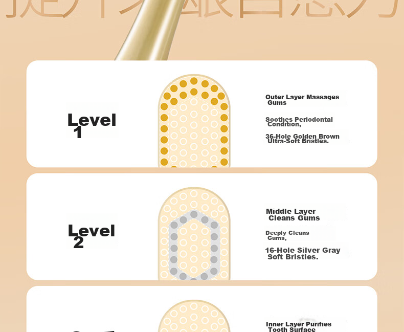 EBISU Four-Stage Bristle Interdental Adult Toothbrush, Cleans Between Teeth, Protects Gums, Freshens Breath, 2 Brushes with Random Colors 9