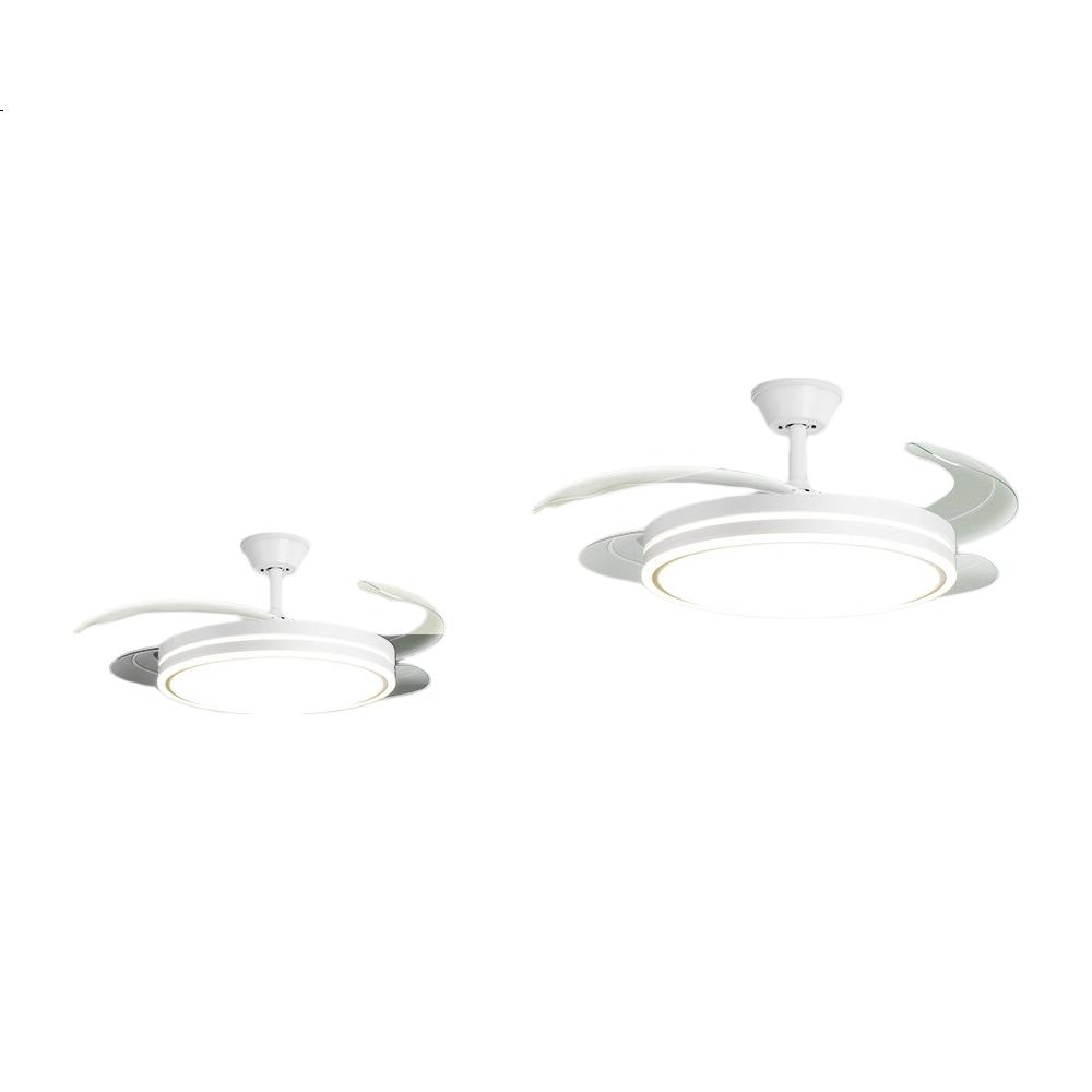White Image 3