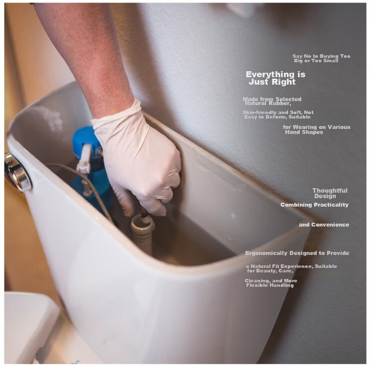 AMMEX Disposable Premium Latex Gloves (Natural White) Powder-Free Medium (CE Certified) 100 pcs/Box XLFRT44100 6