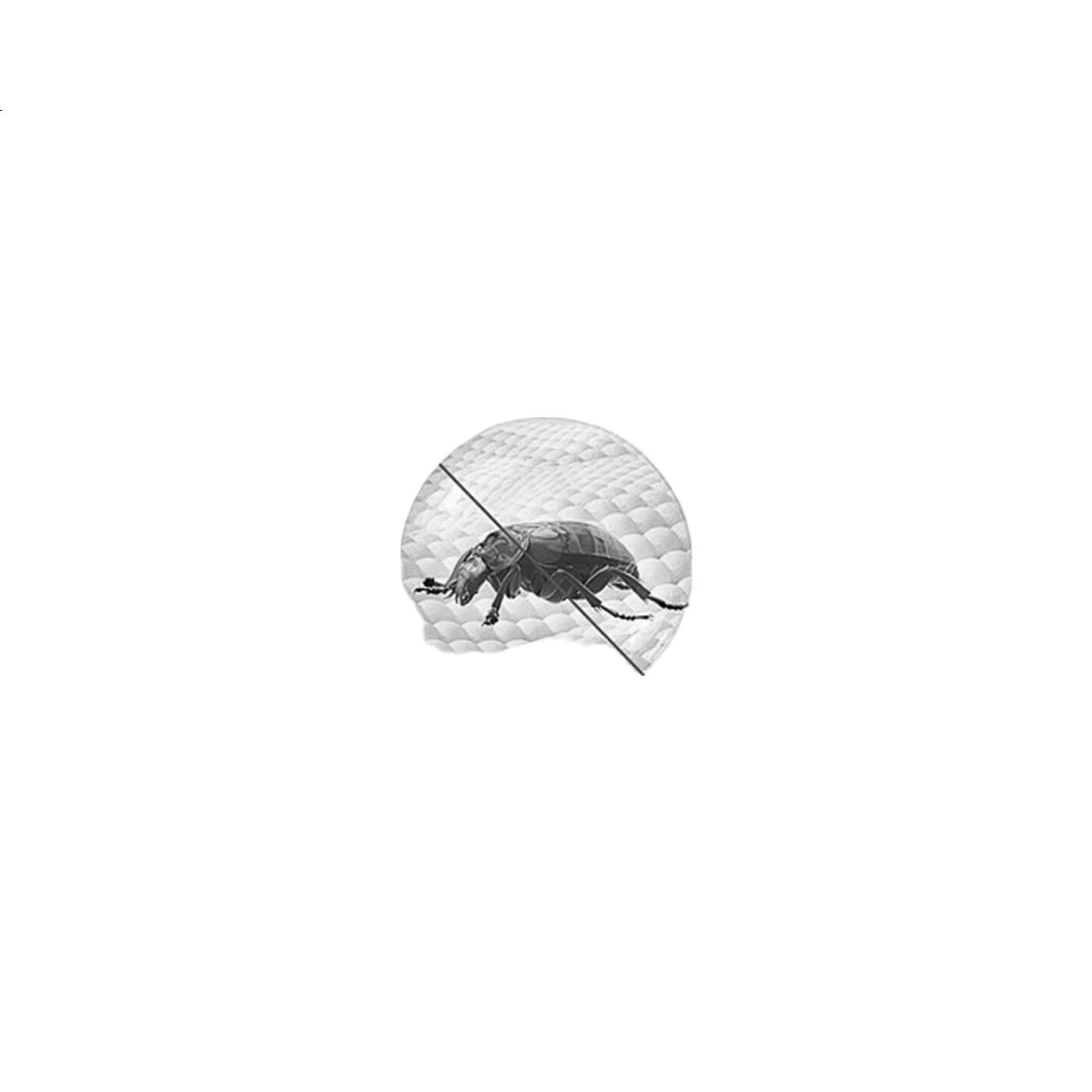 White Image 2