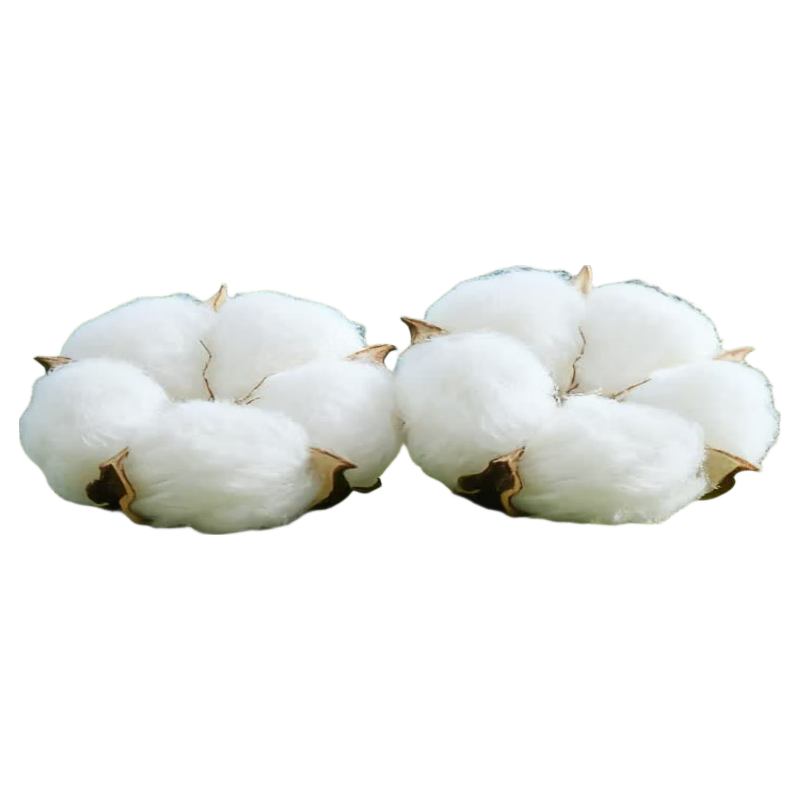 CROWN Pillowcase 48x74cm Pair Pure Cotton Home Pillow Covers Unisex 100% Cotton No Insert Cushion Covers Single/Double Bed