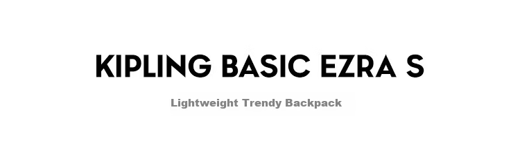 Kaplin Ezra S Metal Silver Travel Practical Trendy Commuter Backpack 2