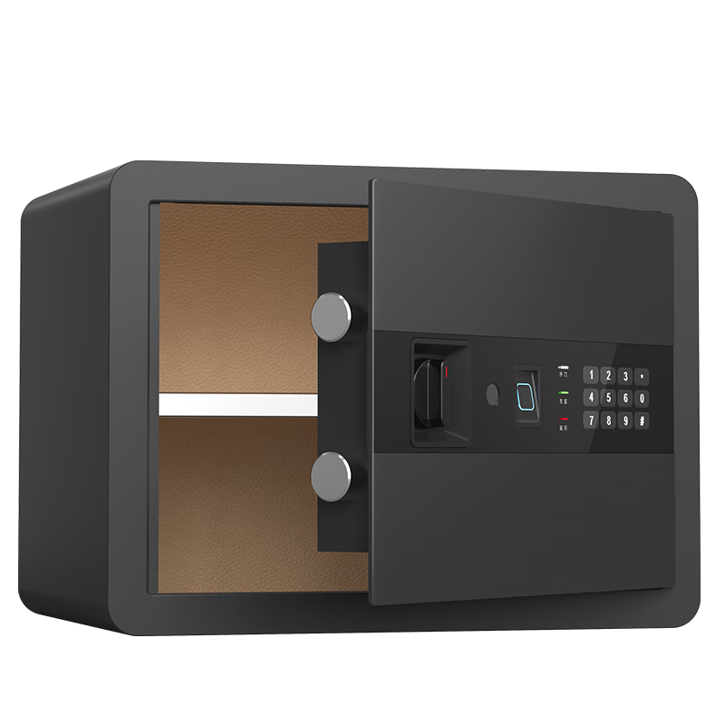 Deli Safe, Home And Office Fingerprint Password WiFi Safe Box, Small Wall-Mounted Or Cabinet-Mounted Confidential Cabinet, All-Steel Anti-Theft Storage Cabinet, Can Be Fixed And Installed, 30cm Obsidian Black