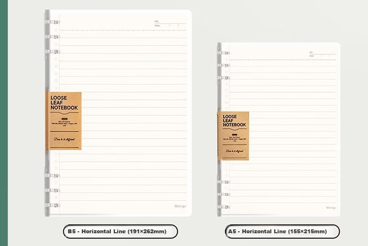 Wengu B5 Notebook Handwritten Loose-Leaf Book 40 Sheets Journal Diary for Middle School, High School, University Students, Detachable Office Business Meeting Supplies SK030-1 (B5) Lined Version 15