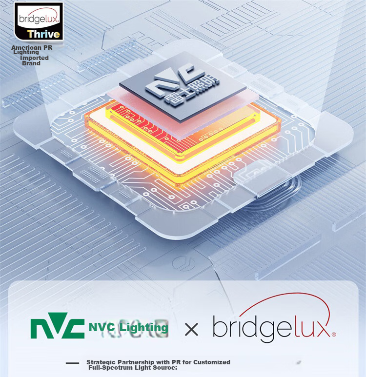NVC LED Recessed Downlight Corridor Anti-Glare Aluminum Material Cree Full Spectrum Eye Protection 12W Ra98 [Mishue Pro] 3