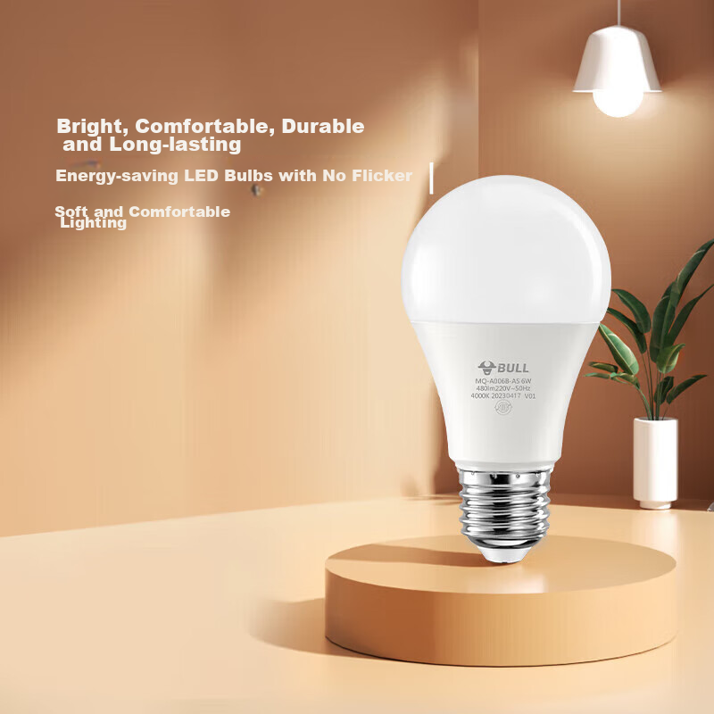 BULL LED Bulb E27 Large Screw Base Globe Light High Brightness 2.5W Cool White (Daylight) 6500K