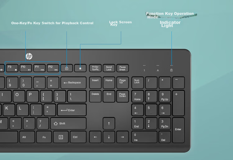 HP Wired Keyboard and Mouse Set USB Plug and Play Silent Office Keyboard and Mouse Full Set for Laptop and Desktop Commercial Use 12