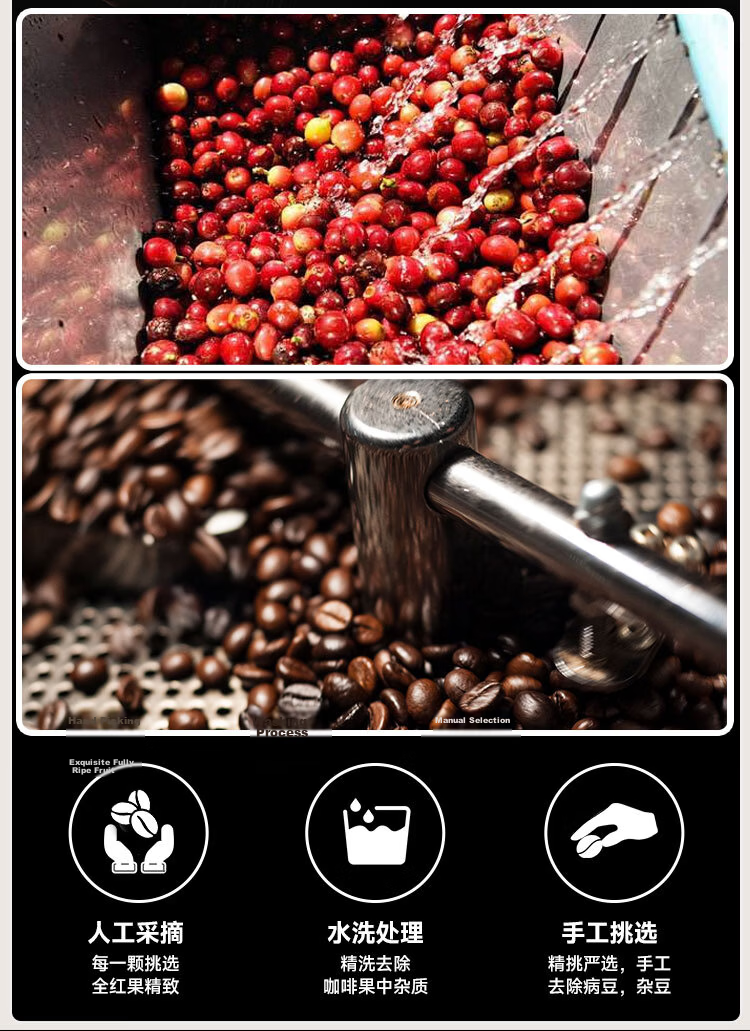 Delonghi Selected Espresso Coffee Beans 100% Arabica Brazil & Robusta Blend Espresso Coffee Beans Accessories Italian Imported Coffee Beans 250g Medium Roast 3