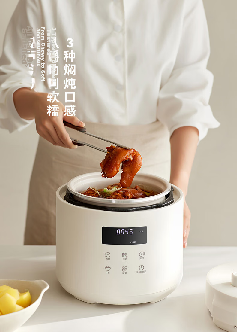 Olayks Instant Electric Pressure Cooker High-Pressure Rice Cooker Multifunctional Smart Mini Pressure Cooker 2.5L 10