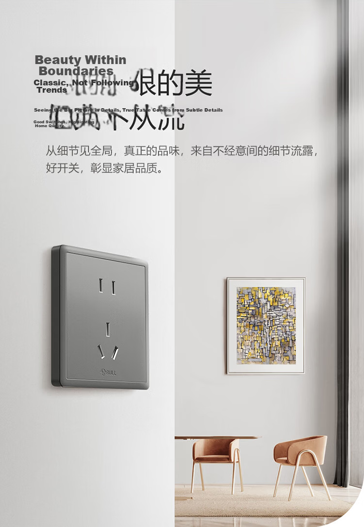 BULL G36 Series 10A Five-Hole Socket G36Z223 Starry Gray Flush Mount Switch Socket 5