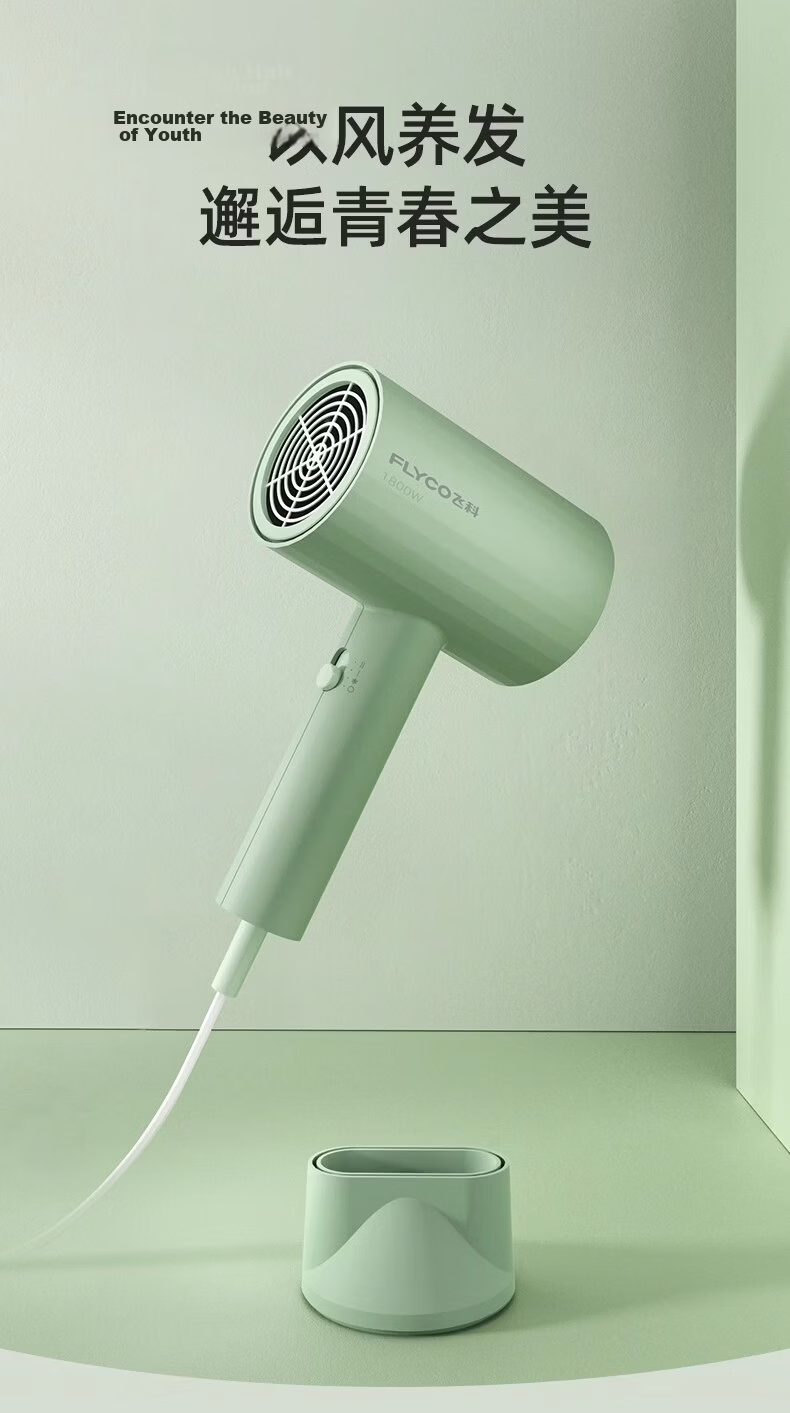 Flyco FH6296 Home Hair Dryer Powerful Wind Hair Care Quick Drying Portable Travel Gift Birthday Holiday Present 1