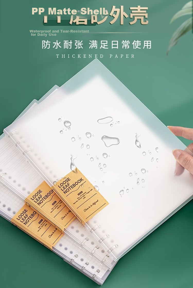 Wengu B5 Notebook Handwritten Loose-Leaf Book 40 Sheets Journal Diary for Middle School, High School, University Students, Detachable Office Business Meeting Supplies SK030-1 (B5) Lined Version 10