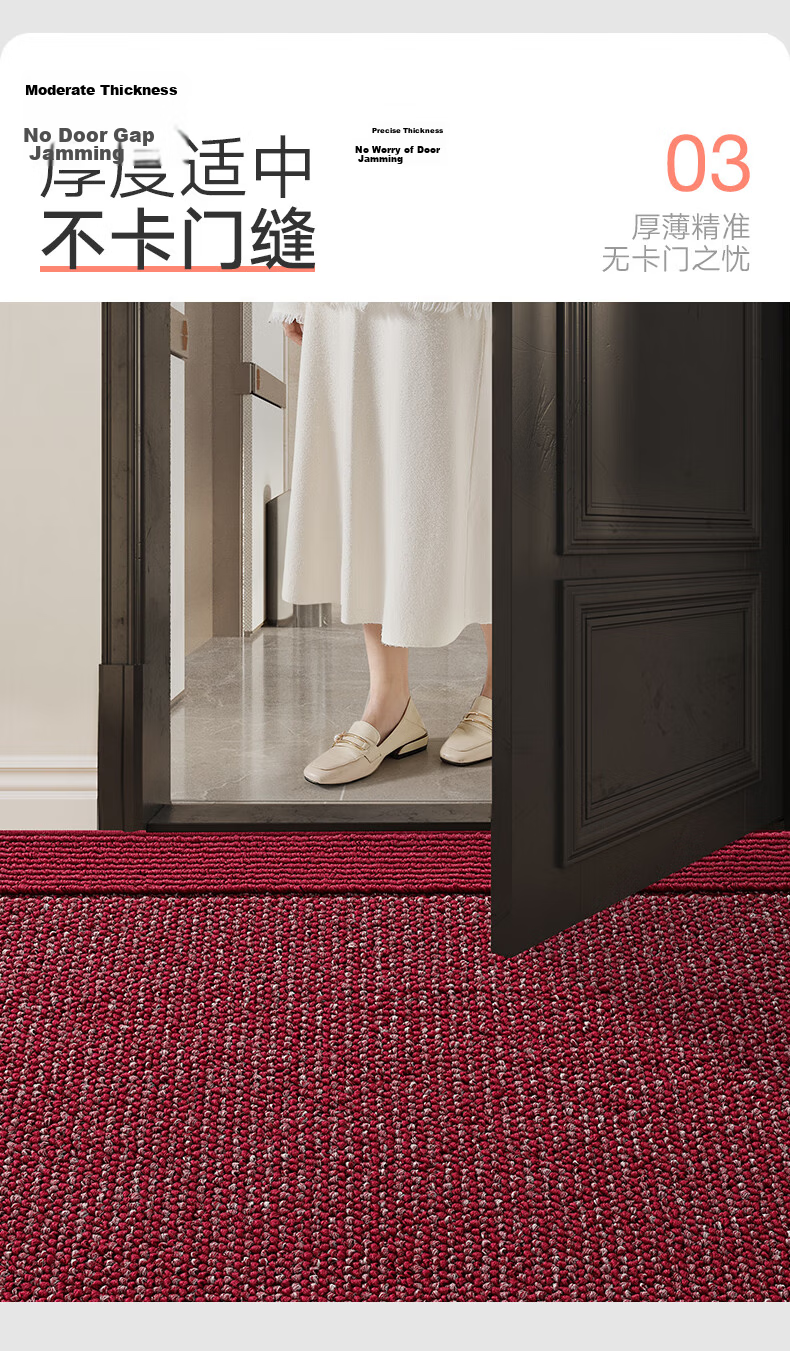 Dajiang Entrance Door Mat Floor Mat 2026 New High-End Carpet 60x90cm 11
