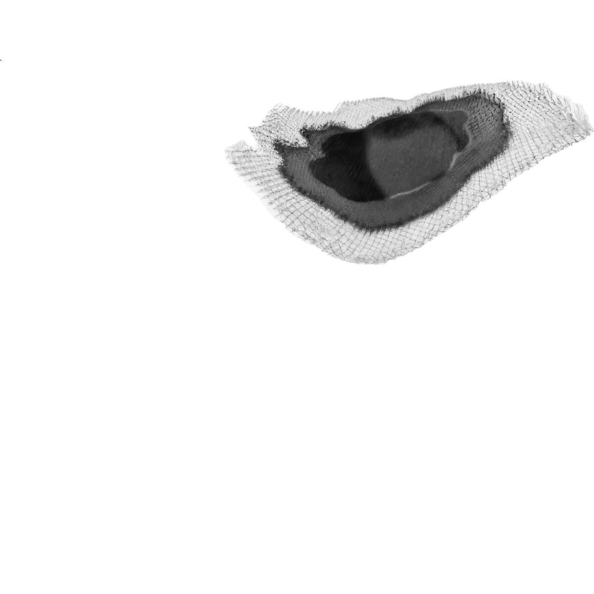 White Image 3