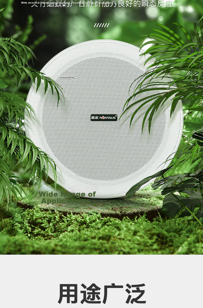 NINTAUS Wall-Mounted Speaker Hanging Type Constant Voltage Speaker Background Music Public Address System for Supermarkets, Malls, Shops, Dance Studios, Restaurants, Conference Rooms, Home Use W6-6 Bl 8