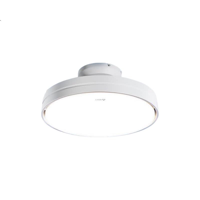 White Image 3