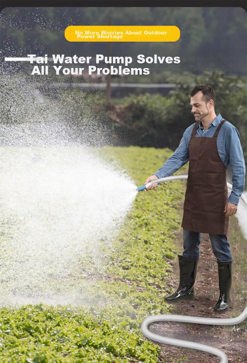 Zanco DC Submersible Pump Agricultural and Household Watering Device Electric Vehicle Water Pump High Lift 24V 1 Inch 8
