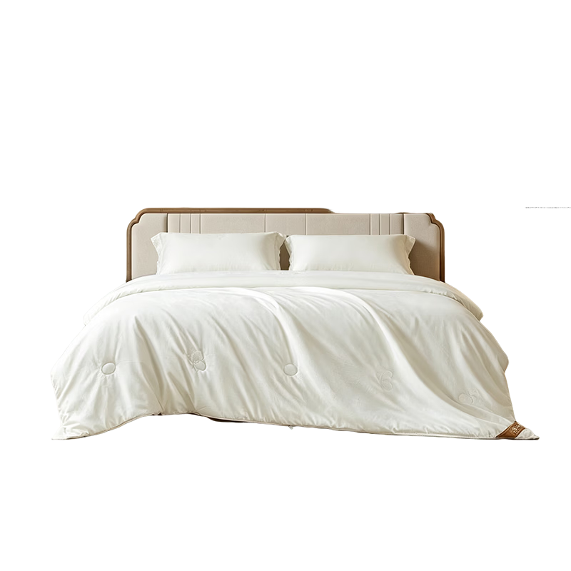 BEYOND Home Textiles, 100% Mulberry Silk Quilt, Air Conditioning Comforter, Class A Antibacterial, 100S Long-Staple Cotton, Summer Cool Quilt, 220*240cm