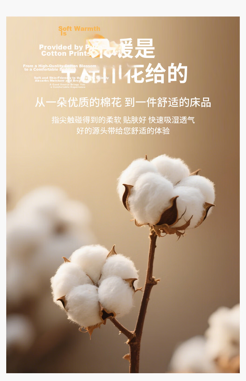 Grace Class A Antibacterial 100% Xinjiang Cotton Pure Cotton Student Quilt Cover Movement 150*200cm 6