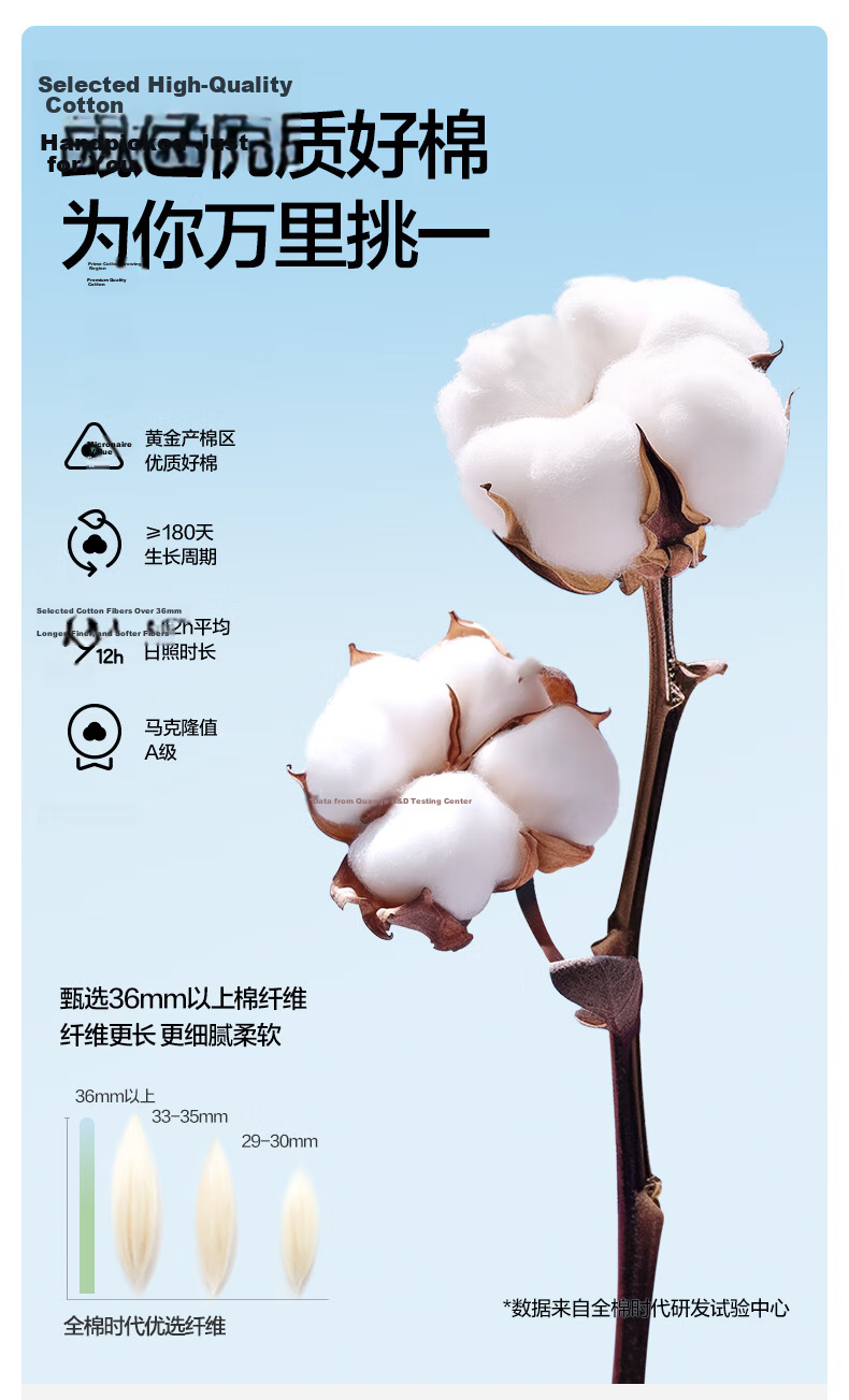 PurCotton Maternity 3-Inch Safety Shorts Anti-Exposure 7A Antibacterial Ultra-Thin Cooling High Elasticity Leggings Skin Tone 165 17