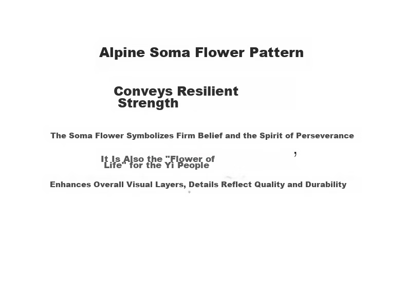 Peacebird Women's T-Shirt Miyake Style Pleated Soma Flower Short Sleeve Summer Elegant Half High Neck Slim Fit Top Black L 6